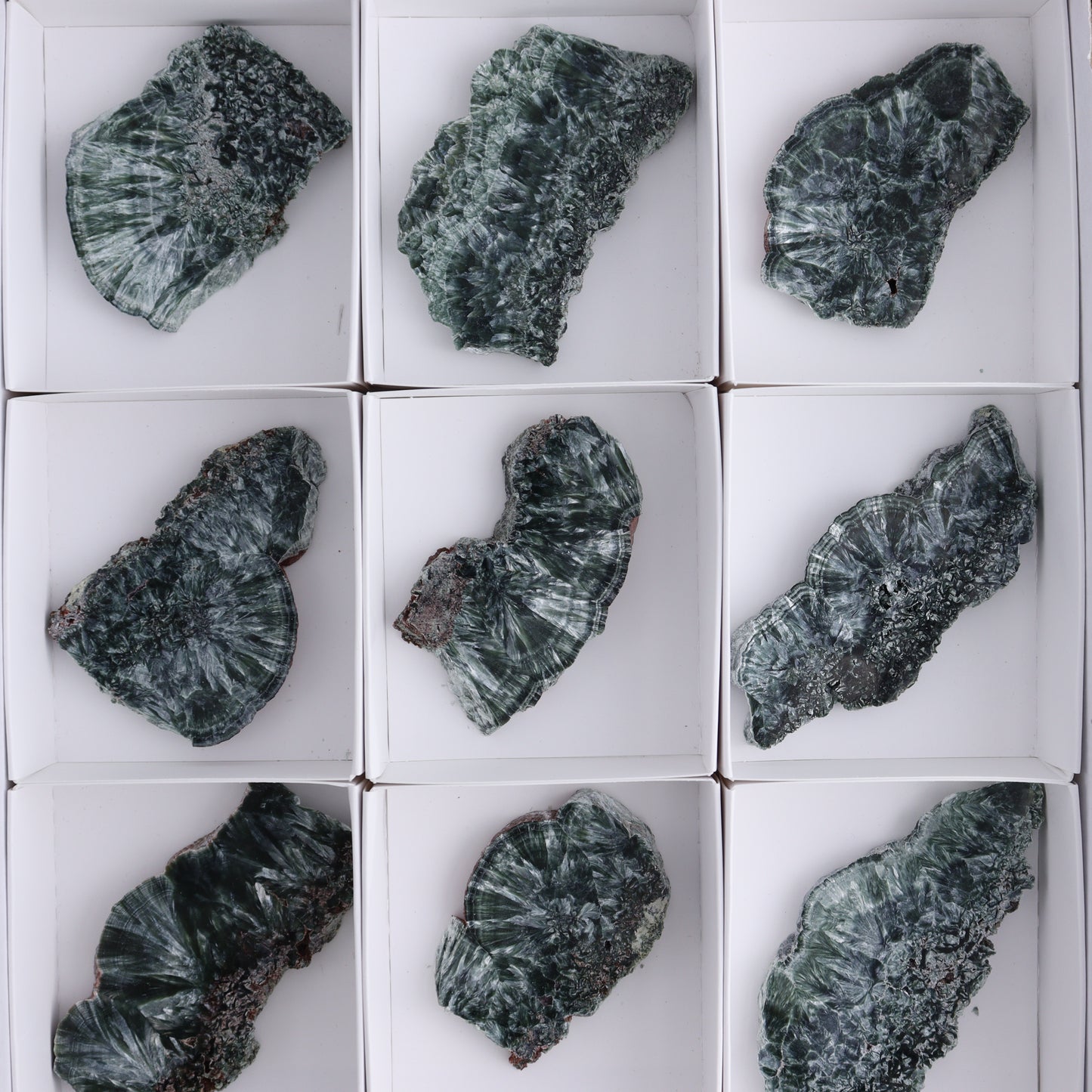 Seraphinite Slices Set of 12 - Expert Wholesale and Supplier of Wholesale Crystals & Bulk Gemstones, ["Russia","Seraphinite","Slices and Slabs"]