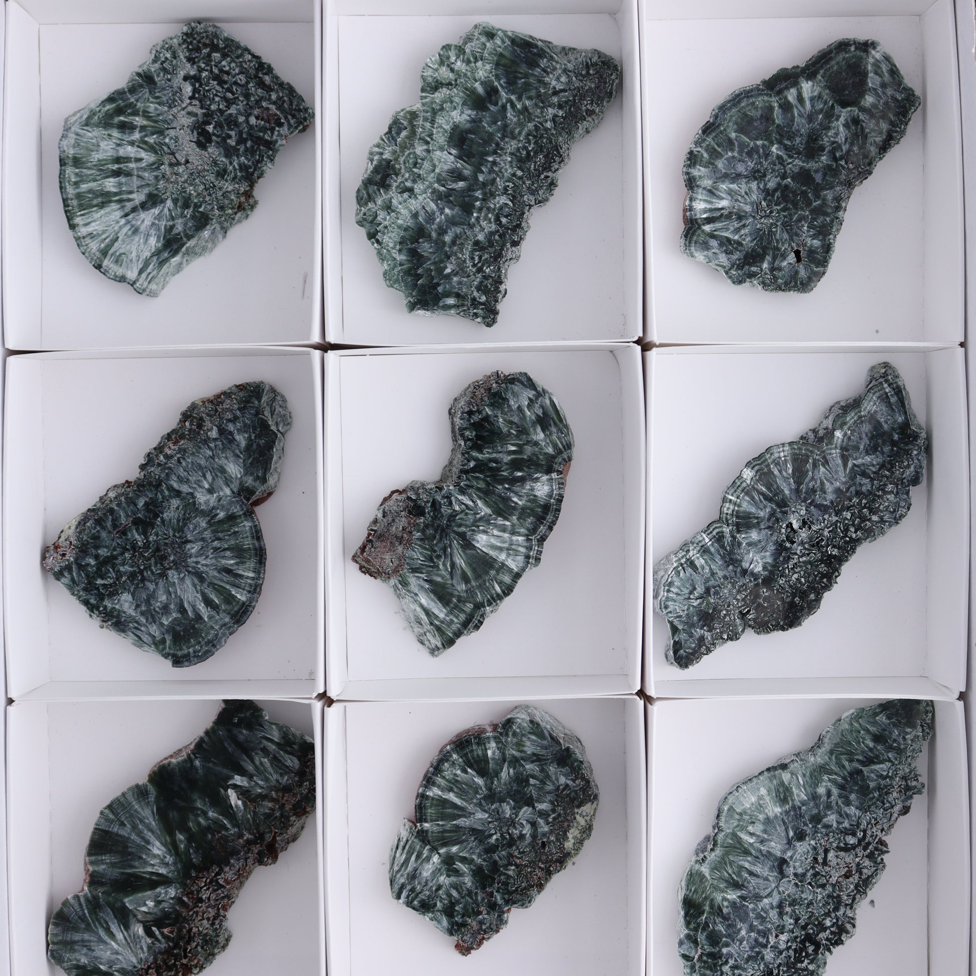 Seraphinite Slices Set of 12 - Expert Wholesale and Supplier of Wholesale Crystals & Bulk Gemstones, ["Russia","Seraphinite","Slices and Slabs"]