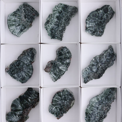Seraphinite Slices Set of 12 - Expert Wholesale and Supplier of Wholesale Crystals & Bulk Gemstones, ["Russia","Seraphinite","Slices and Slabs"]