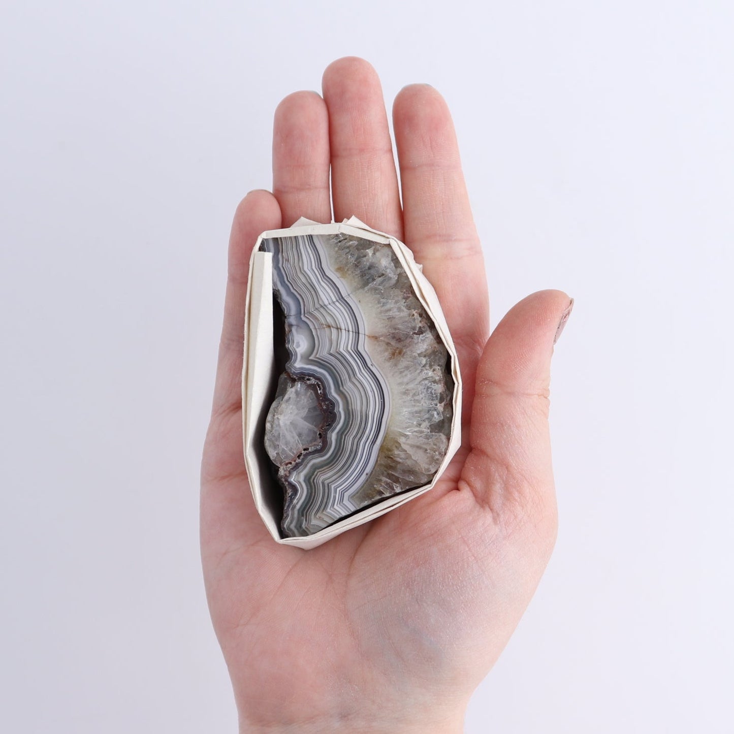 Crazy Lace Agate Flat of 12