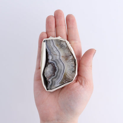 Crazy Lace Agate Flat of 12