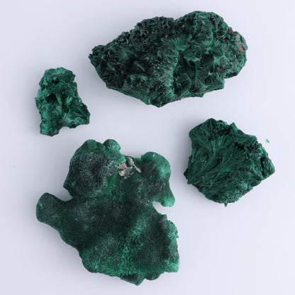Malachite Freeforms Set of 13 - Expert Wholesale and Supplier of Wholesale Crystals & Bulk Gemstones, ["Freeform","Malachite","South Africa"]