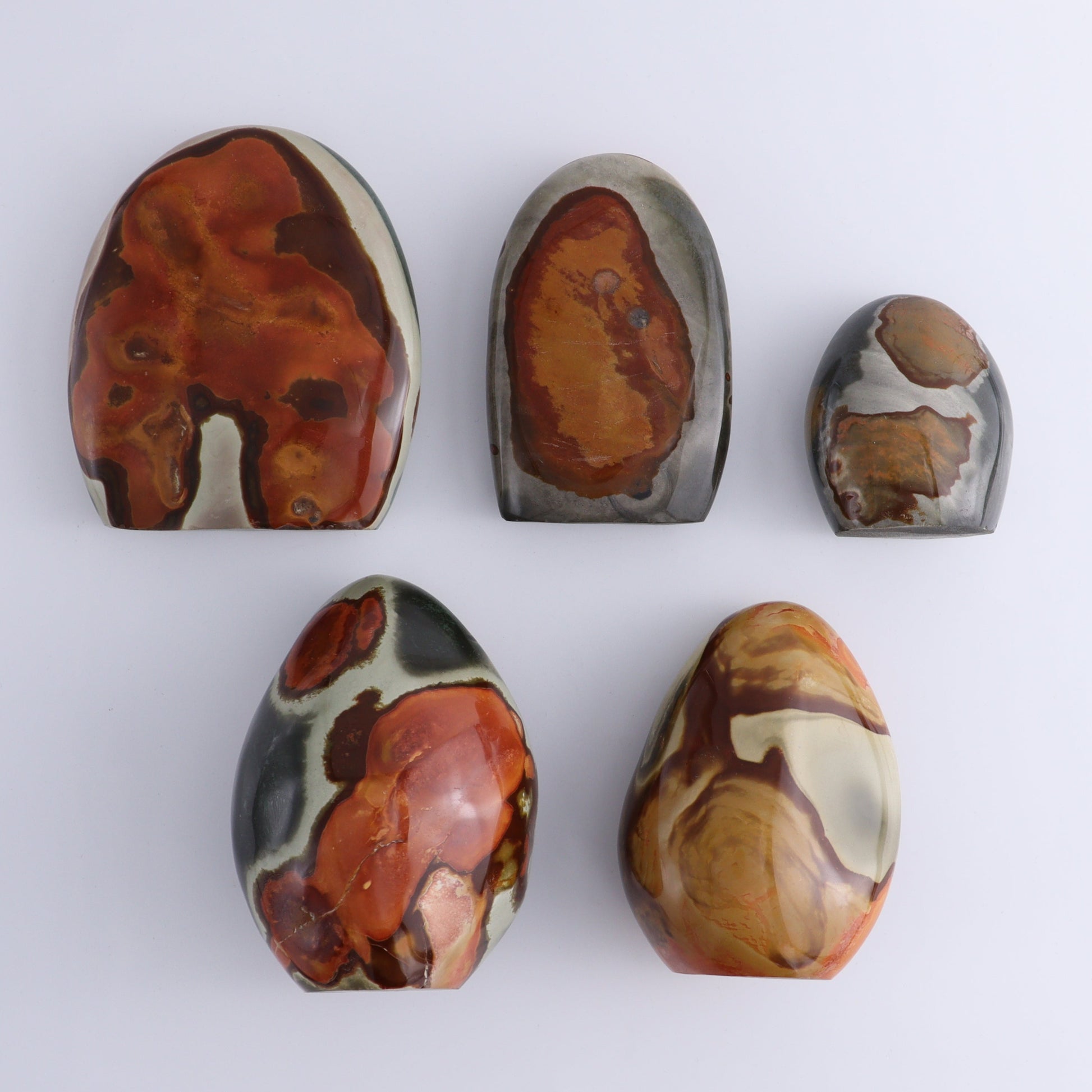 Polychrome Jasper Freeforms Set of 5 - Expert Wholesale and Supplier of Wholesale Crystals & Bulk Gemstones, ["jasper","Madagascar","Polychrome Jasper"]