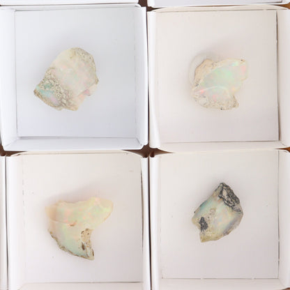 Ethiopian Opal Set of 10 - Expert Wholesale and Supplier of Wholesale Crystals & Bulk Gemstones, ["Ethiopia","ethiopian opal","Opal"]