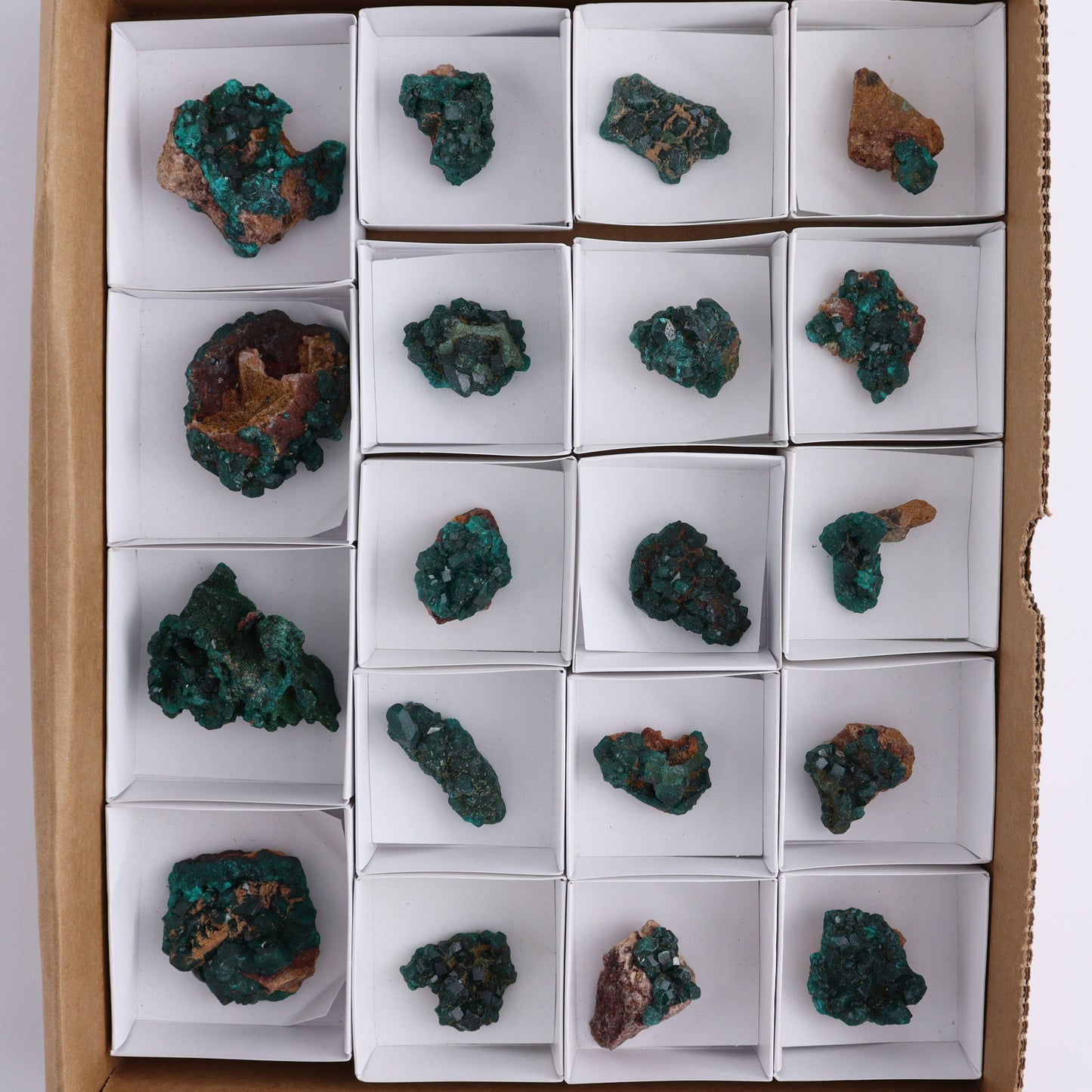Dioptase Set of 19 - Expert Wholesale and Supplier of Wholesale Crystals & Bulk Gemstones, ["dioptase","Freeform","Freeforms"]