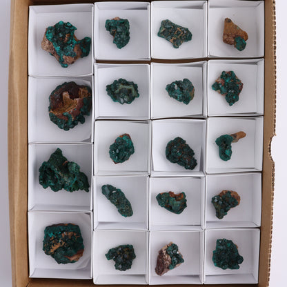 Dioptase Set of 19 - Expert Wholesale and Supplier of Wholesale Crystals & Bulk Gemstones, ["dioptase","Freeform","Freeforms"]
