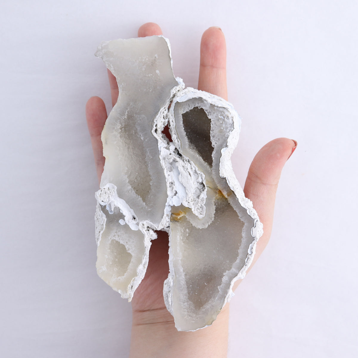 Agatized Coral Set of 3