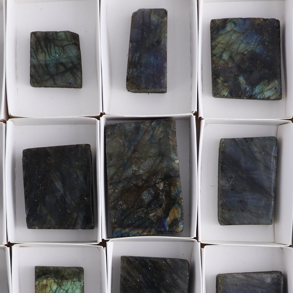 Labradorite Freeform Set of 16