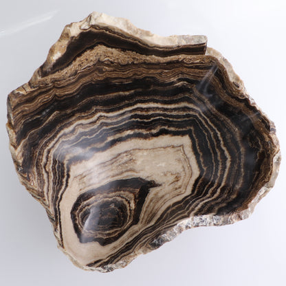 Mexican Onyx/Calcite Bowl 12"