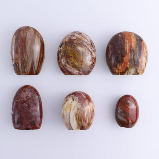 Petrified Wood Freeforms Set of 6 - Expert Wholesale and Supplier of Wholesale Crystals & Bulk Gemstones, ["Freeform","Freeforms","Madagascar","Petrified Wood"]