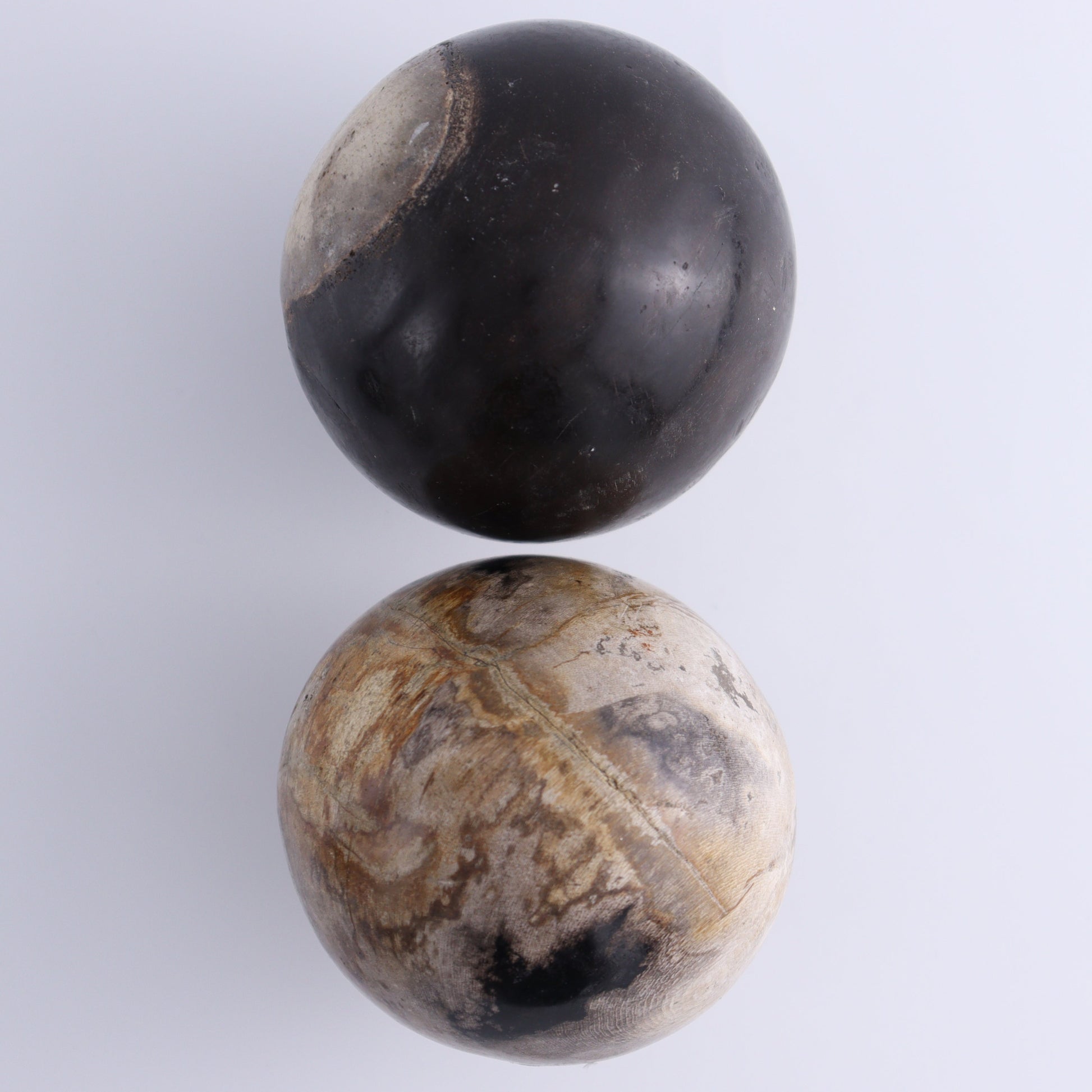 Petrified Wood Spheres Set of 4 - Expert Wholesale and Supplier of Wholesale Crystals & Bulk Gemstones, ["Indonesia","Petrified Wood","Spheres"]