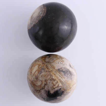 Petrified Wood Spheres Set of 4 - Expert Wholesale and Supplier of Wholesale Crystals & Bulk Gemstones, ["Indonesia","Petrified Wood","Spheres"]