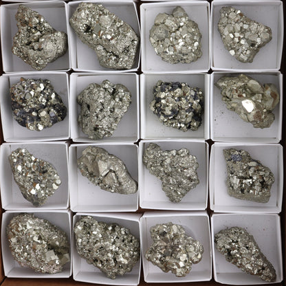 Pyrite Clusters Set of 20