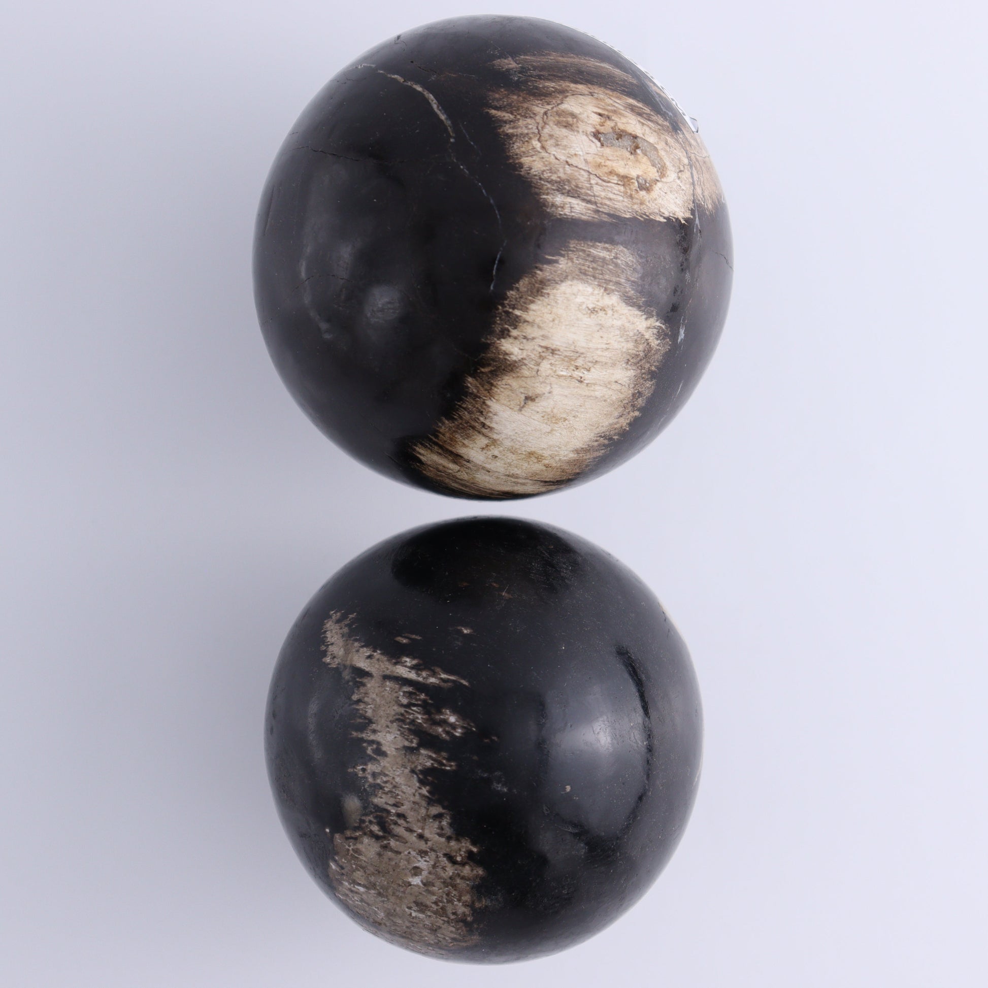 Petrified Wood Spheres Set of 4 - Expert Wholesale and Supplier of Wholesale Crystals & Bulk Gemstones, ["Indonesia","Petrified Wood","Spheres"]