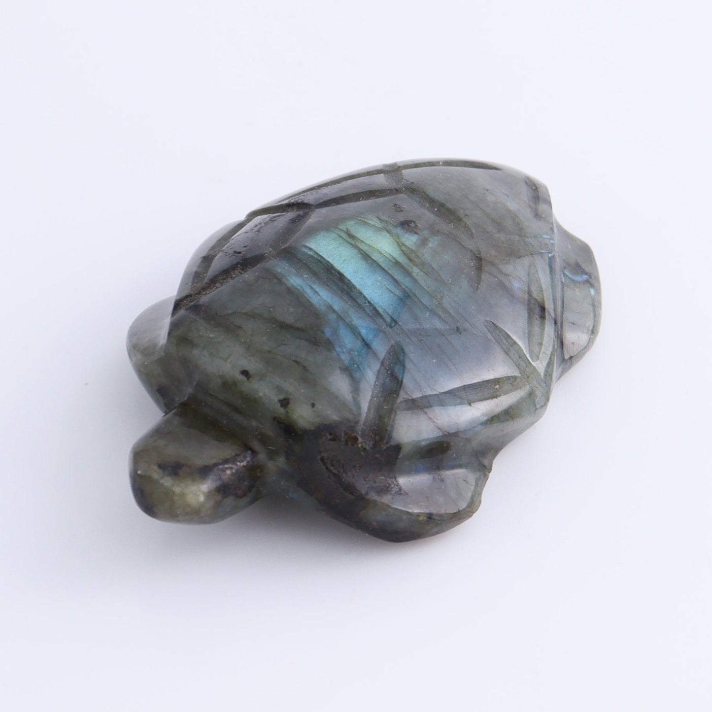 Labradorite Turtles Set of 5