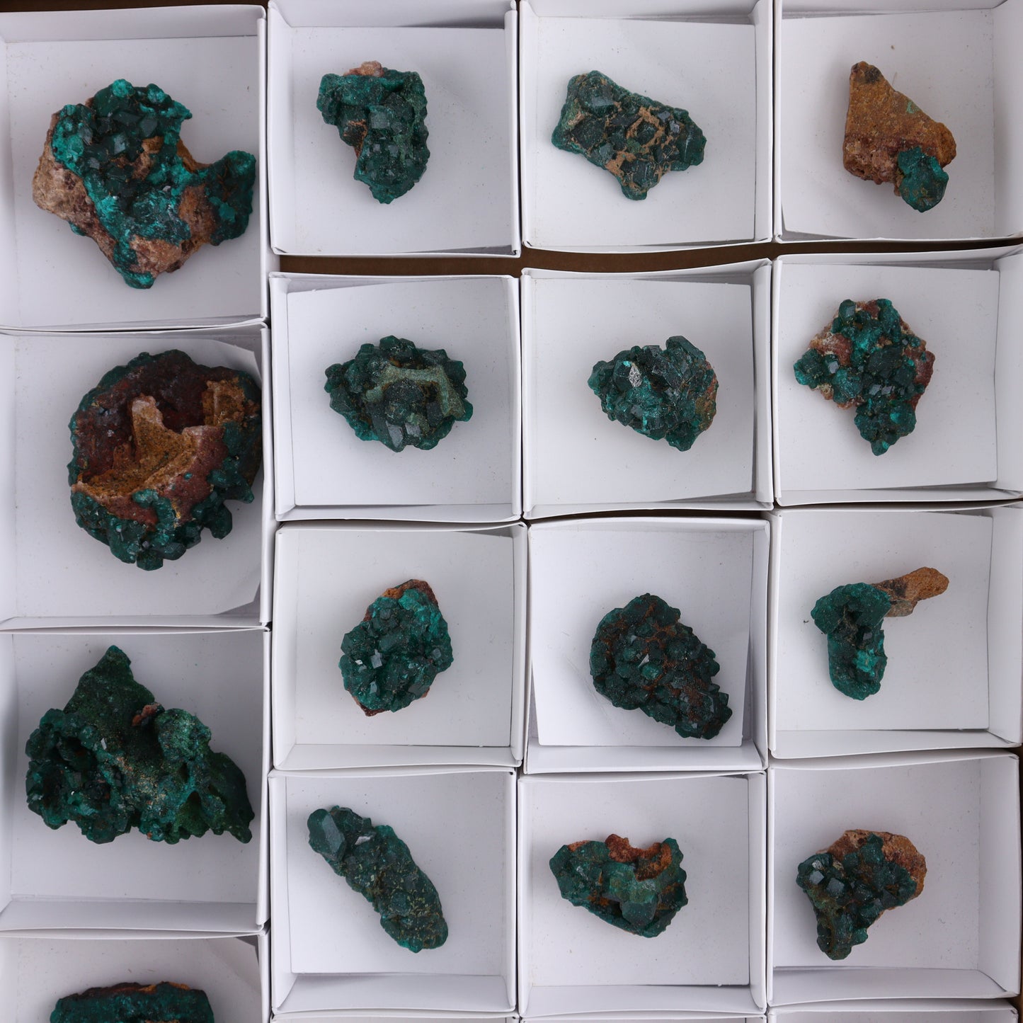 Dioptase Set of 19 - Expert Wholesale and Supplier of Wholesale Crystals & Bulk Gemstones, ["dioptase","Freeform","Freeforms"]