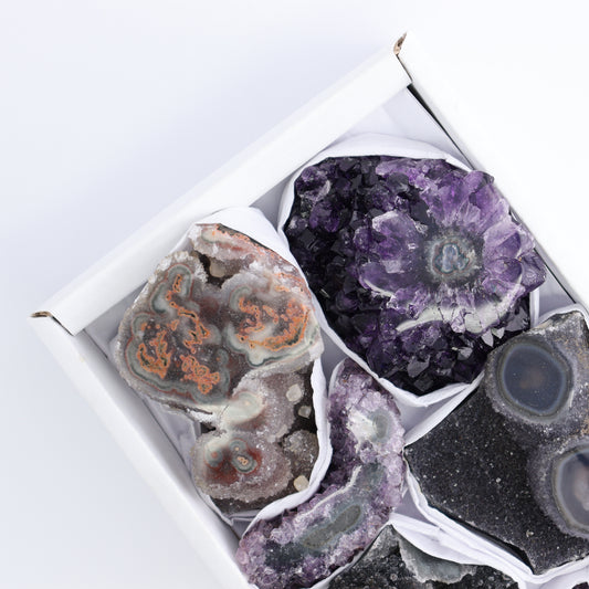 Uruguay Amethyst Clusters with "Eyes" Flat of 7 - Expert Wholesale and Supplier of Wholesale Crystals & Bulk Gemstones, ["Amethyst","Amethyst Eyes","Clusters","Uruguay"]