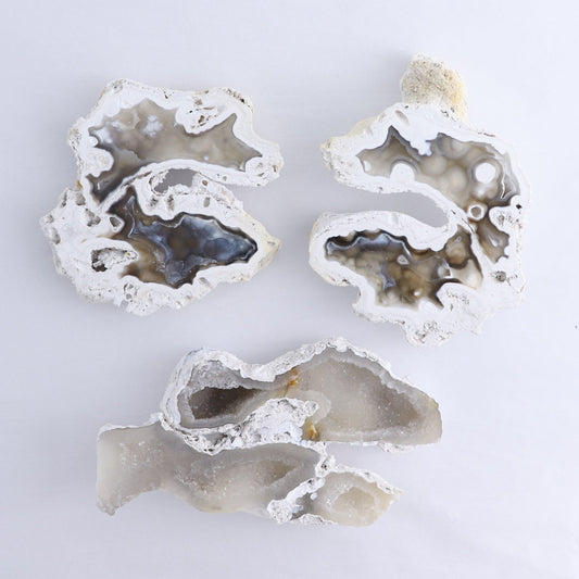 Agatized Coral Set of 3