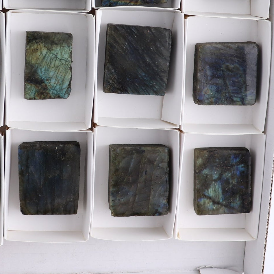 Labradorite Freeform Set of 16
