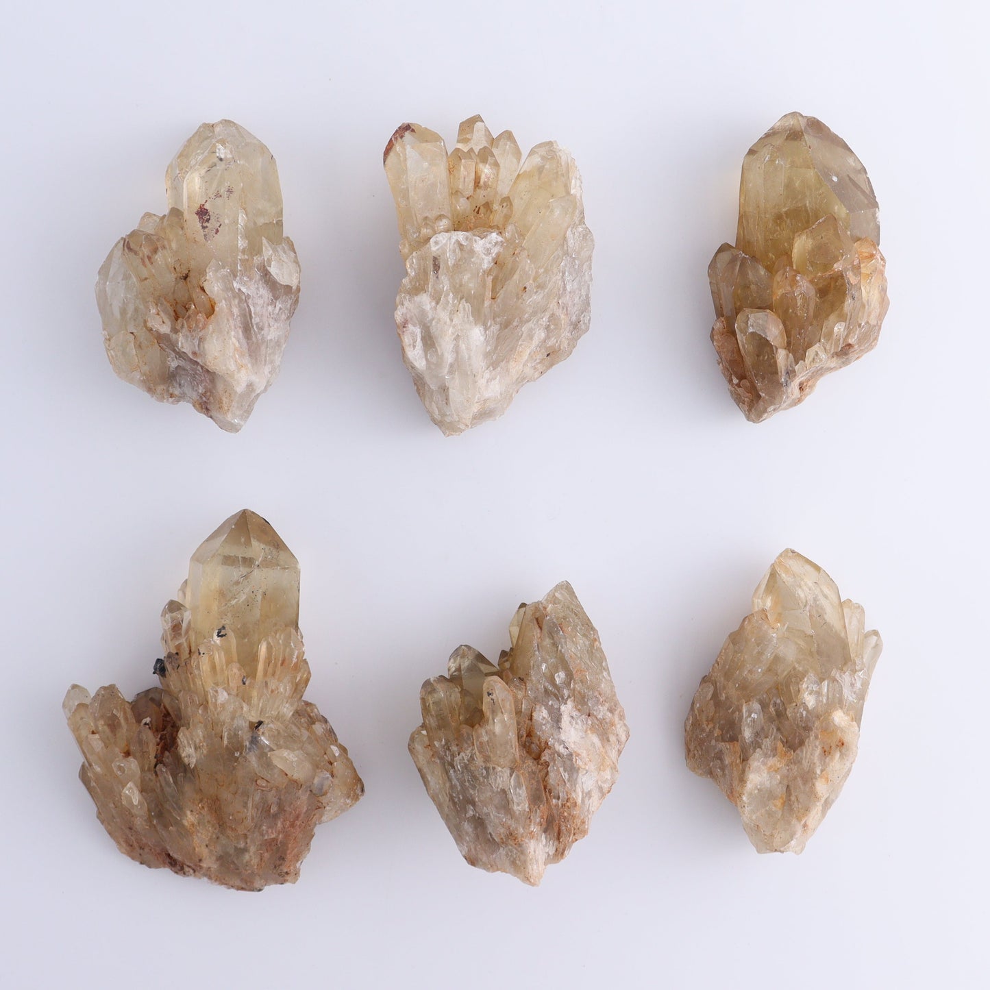 Congo Citrine Set of 12