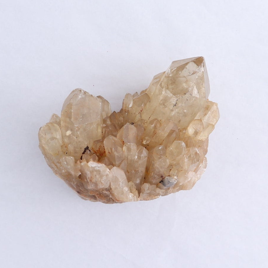 Congo Citrine Set of 6