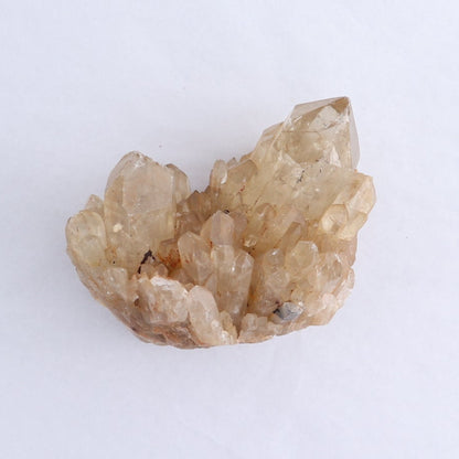 Congo Citrine Set of 6