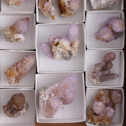 Cactus Quartz Set of 12 - Expert Wholesale and Supplier of Wholesale Crystals & Bulk Gemstones, ["cactus quartz","Quartz","South Africa"]