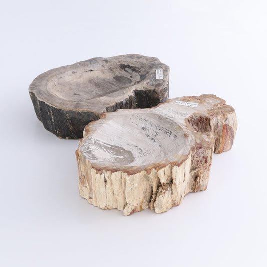 Petrified Wood Bowls Set of 2