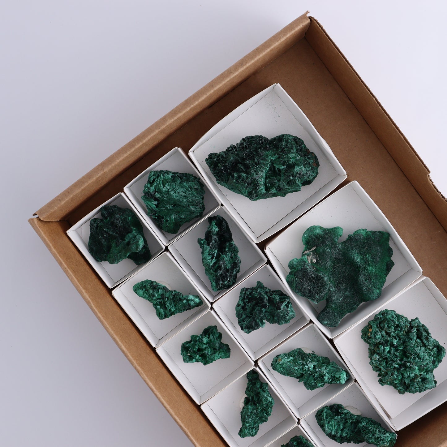 Malachite Freeforms Set of 13 - Expert Wholesale and Supplier of Wholesale Crystals & Bulk Gemstones, ["Freeform","Malachite","South Africa"]
