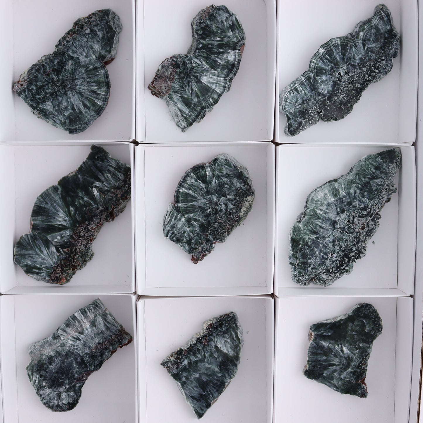 Seraphinite Slices Set of 12 - Expert Wholesale and Supplier of Wholesale Crystals & Bulk Gemstones, ["Russia","Seraphinite","Slices and Slabs"]