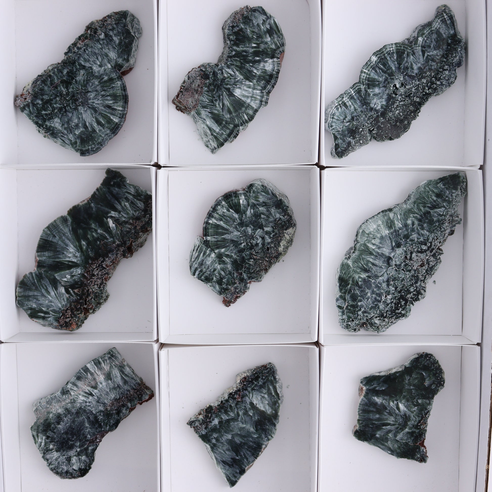 Seraphinite Slices Set of 12 - Expert Wholesale and Supplier of Wholesale Crystals & Bulk Gemstones, ["Russia","Seraphinite","Slices and Slabs"]