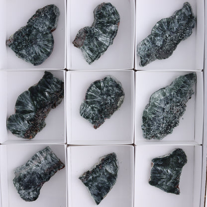 Seraphinite Slices Set of 12 - Expert Wholesale and Supplier of Wholesale Crystals & Bulk Gemstones, ["Russia","Seraphinite","Slices and Slabs"]