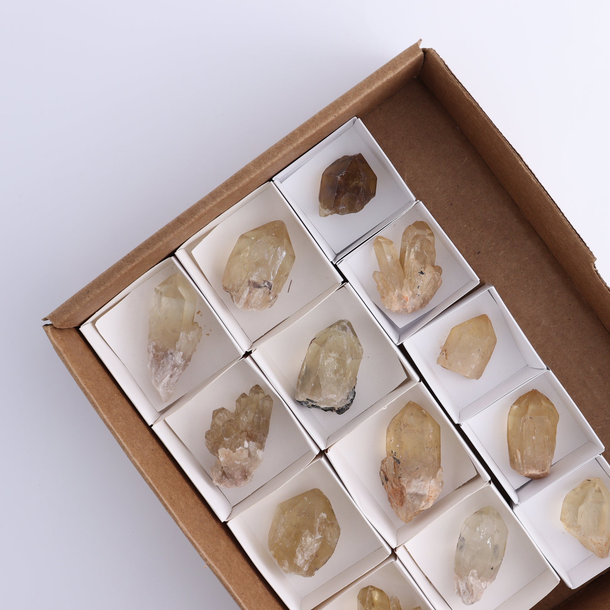 Congo Citrine Set of 12 - Expert Wholesale and Supplier of Wholesale Crystals & Bulk Gemstones, ["Citrine","Congo","Rough","Roughs"]