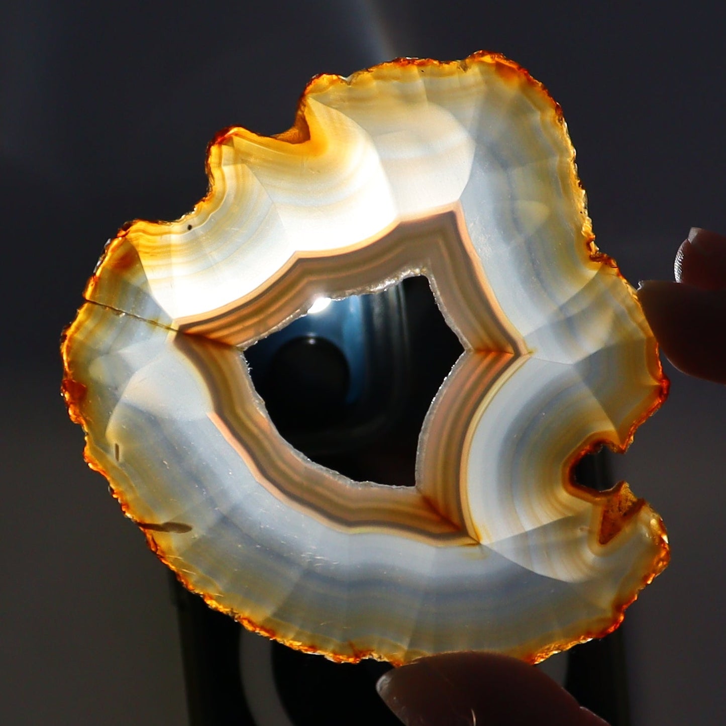 Iris Agate Slices Set of 5 - Expert Wholesale and Supplier of Wholesale Crystals & Bulk Gemstones, ["Agate","Iris Agate","Slices and Slabs"]