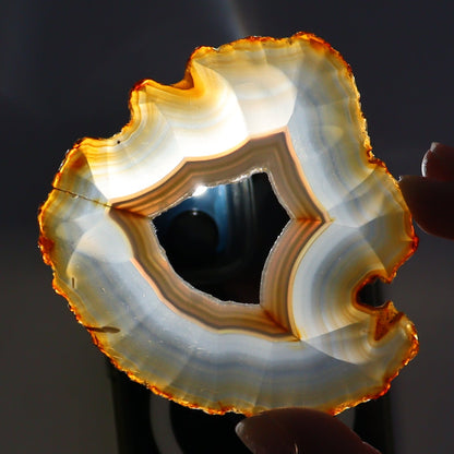 Iris Agate Slices Set of 5 - Expert Wholesale and Supplier of Wholesale Crystals & Bulk Gemstones, ["Agate","Iris Agate","Slices and Slabs"]