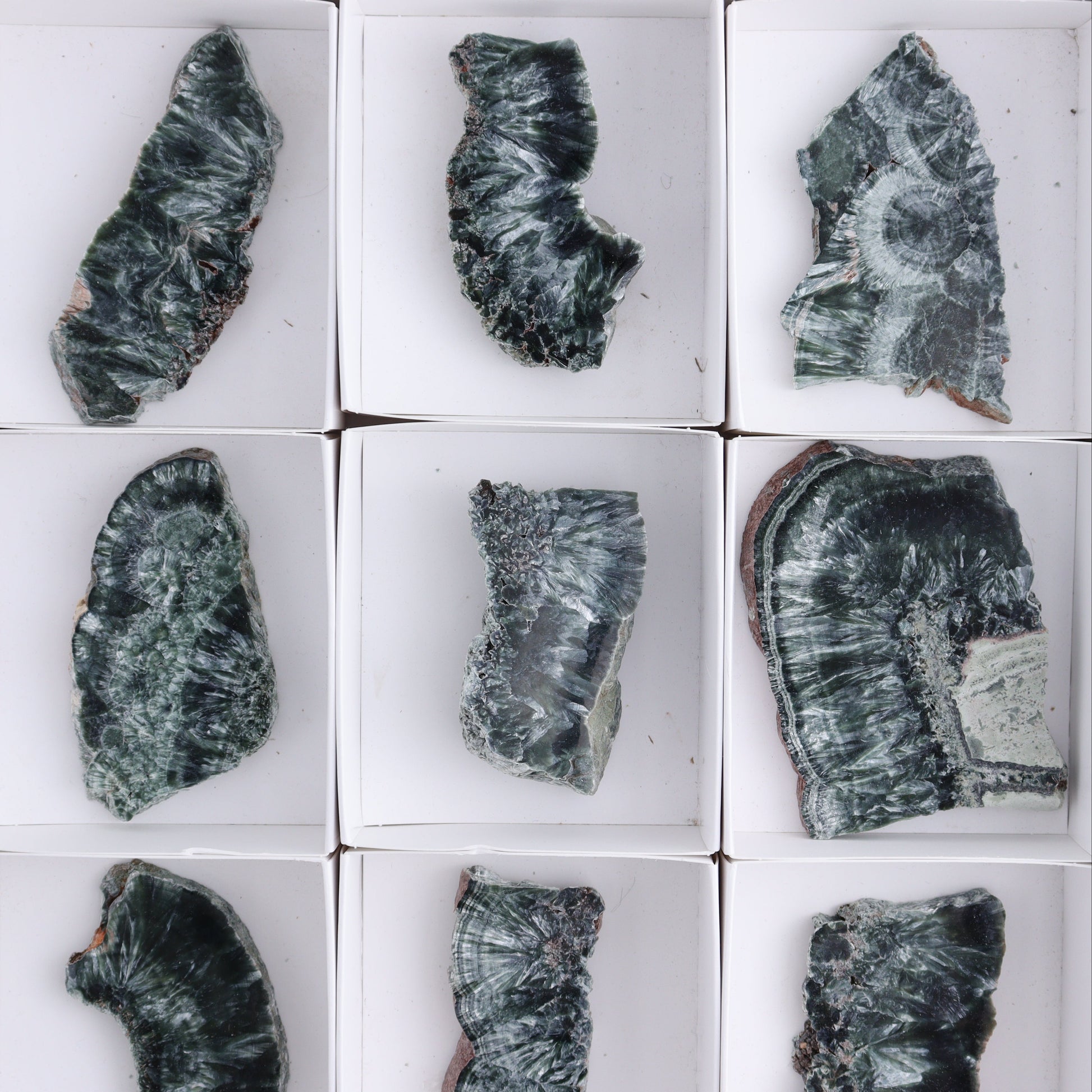 Seraphinite Slices Set of 12 - Expert Wholesale and Supplier of Wholesale Crystals & Bulk Gemstones, ["Russia","Seraphinite","Slices and Slabs"]