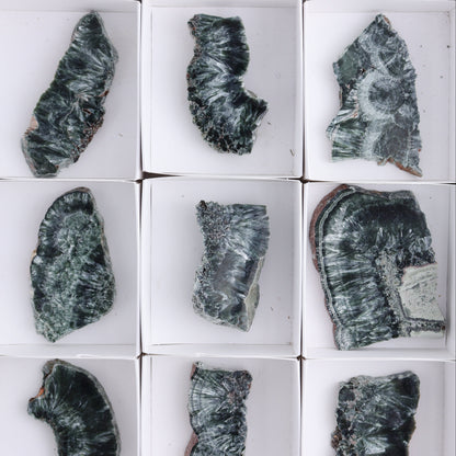 Seraphinite Slices Set of 12 - Expert Wholesale and Supplier of Wholesale Crystals & Bulk Gemstones, ["Russia","Seraphinite","Slices and Slabs"]