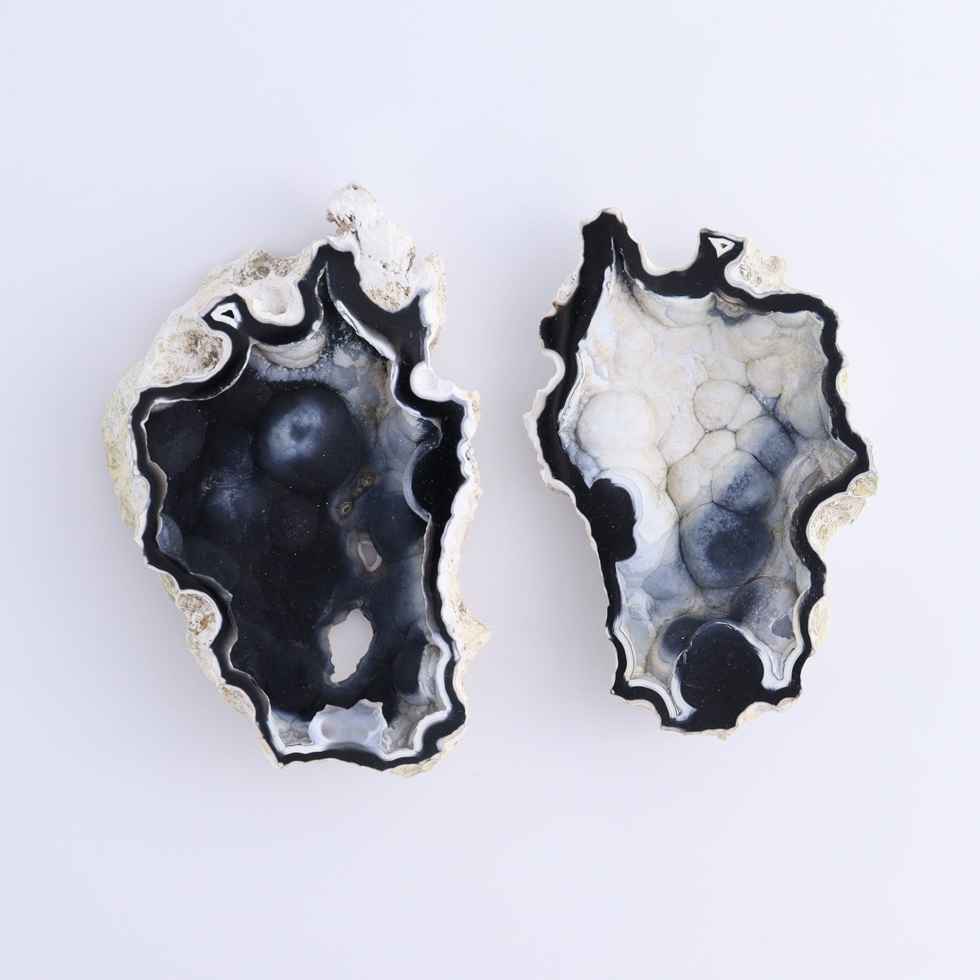 Agatized Coral Flat - Expert Wholesale and Supplier of Wholesale Crystals & Bulk Gemstones, ["Agate","Agatized Coral","Coral","United States"]