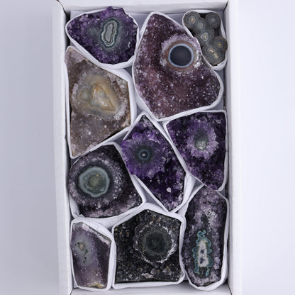 Uruguay Amethyst Clusters with "Eyes" Flat of 10 - Expert Wholesale and Supplier of Wholesale Crystals & Bulk Gemstones, ["Amethyst","Clusters","Eyes Amethyst","Uruguay"]
