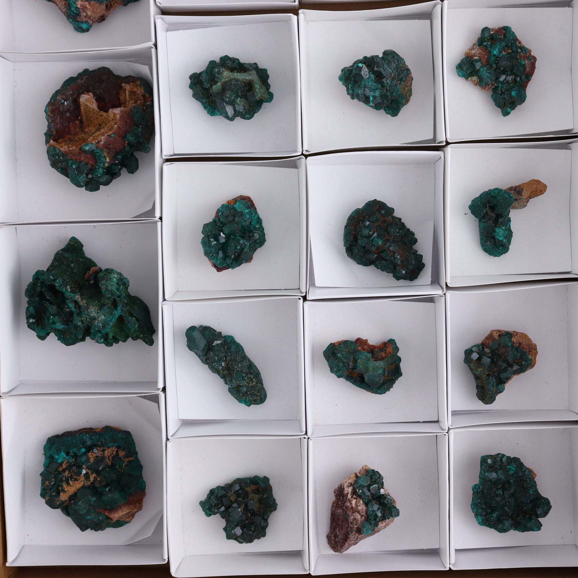 Dioptase Set of 19 - Expert Wholesale and Supplier of Wholesale Crystals & Bulk Gemstones, ["dioptase","Freeform","Freeforms"]