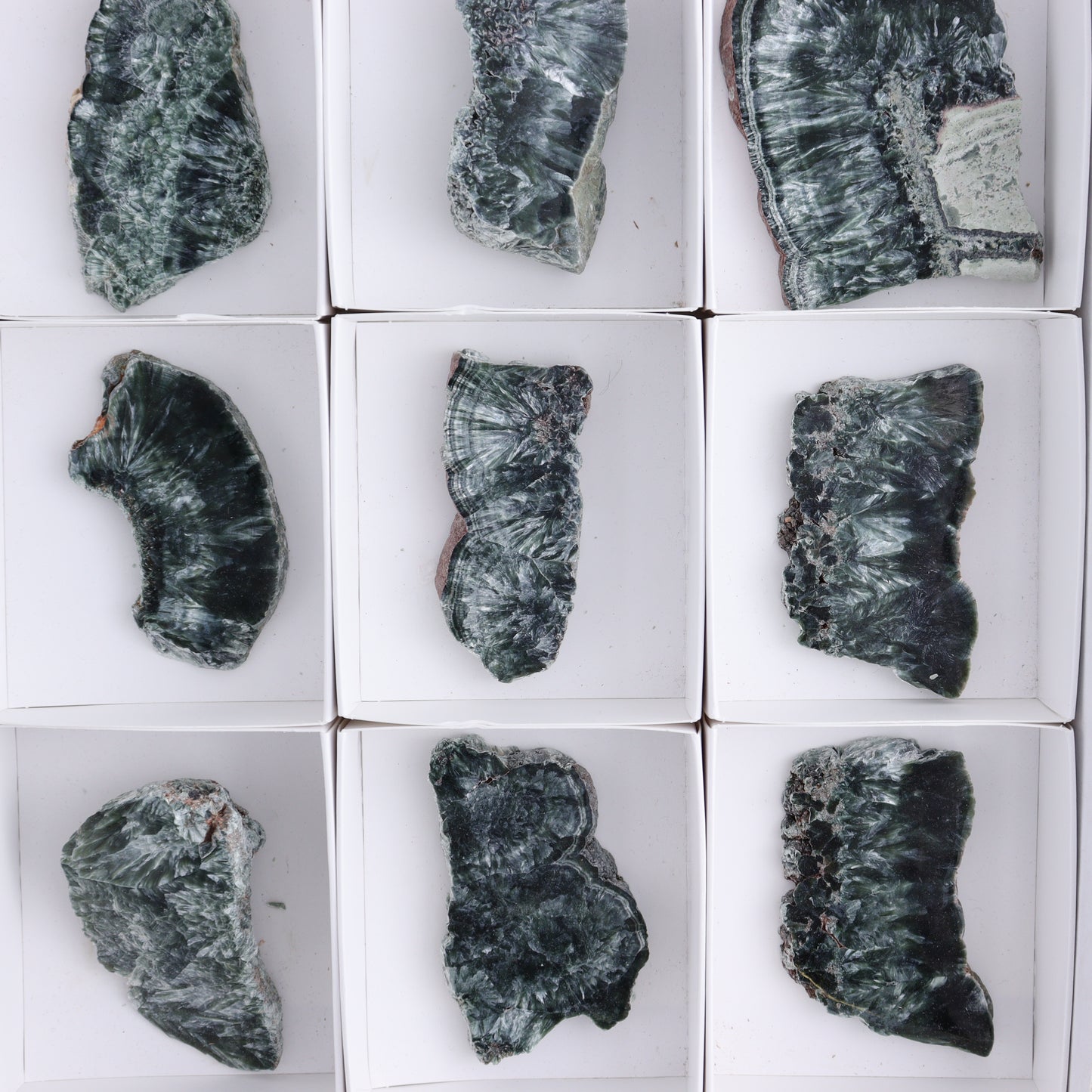 Seraphinite Slices Set of 12 - Expert Wholesale and Supplier of Wholesale Crystals & Bulk Gemstones, ["Russia","Seraphinite","Slices and Slabs"]