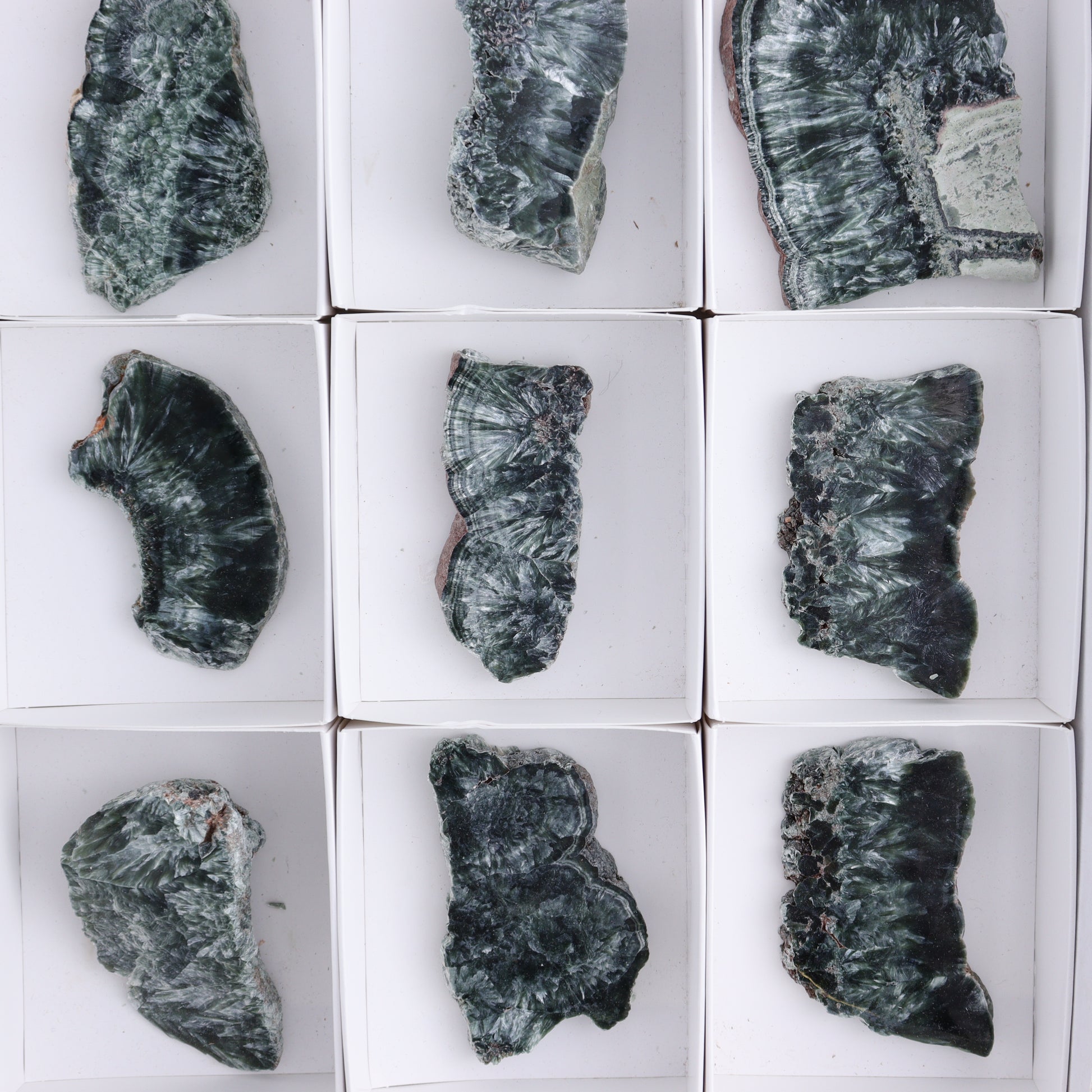Seraphinite Slices Set of 12 - Expert Wholesale and Supplier of Wholesale Crystals & Bulk Gemstones, ["Russia","Seraphinite","Slices and Slabs"]