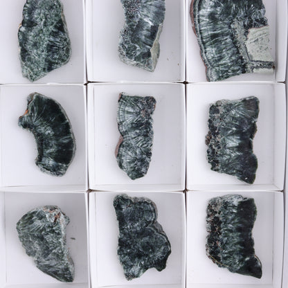 Seraphinite Slices Set of 12 - Expert Wholesale and Supplier of Wholesale Crystals & Bulk Gemstones, ["Russia","Seraphinite","Slices and Slabs"]