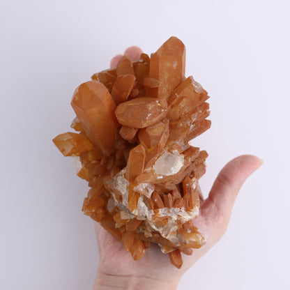 Tangerine Quartz Clusters Set of 6 - Expert Wholesale and Supplier of Wholesale Crystals & Bulk Gemstones, ["Clusters","Quartz","Tangerine Quartz"]