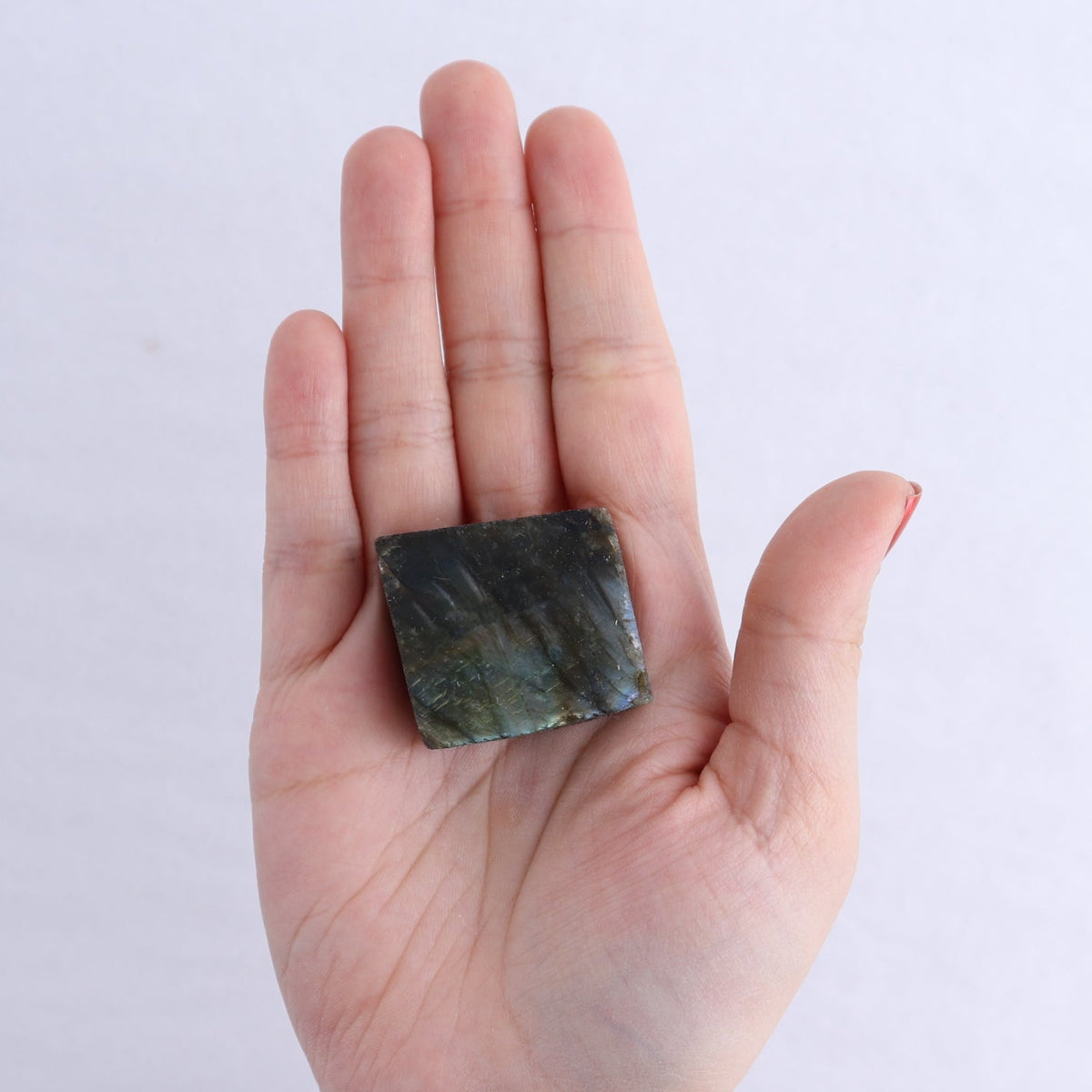 Labradorite Freeform Set of 21
