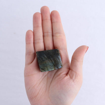 Labradorite Freeform Set of 21