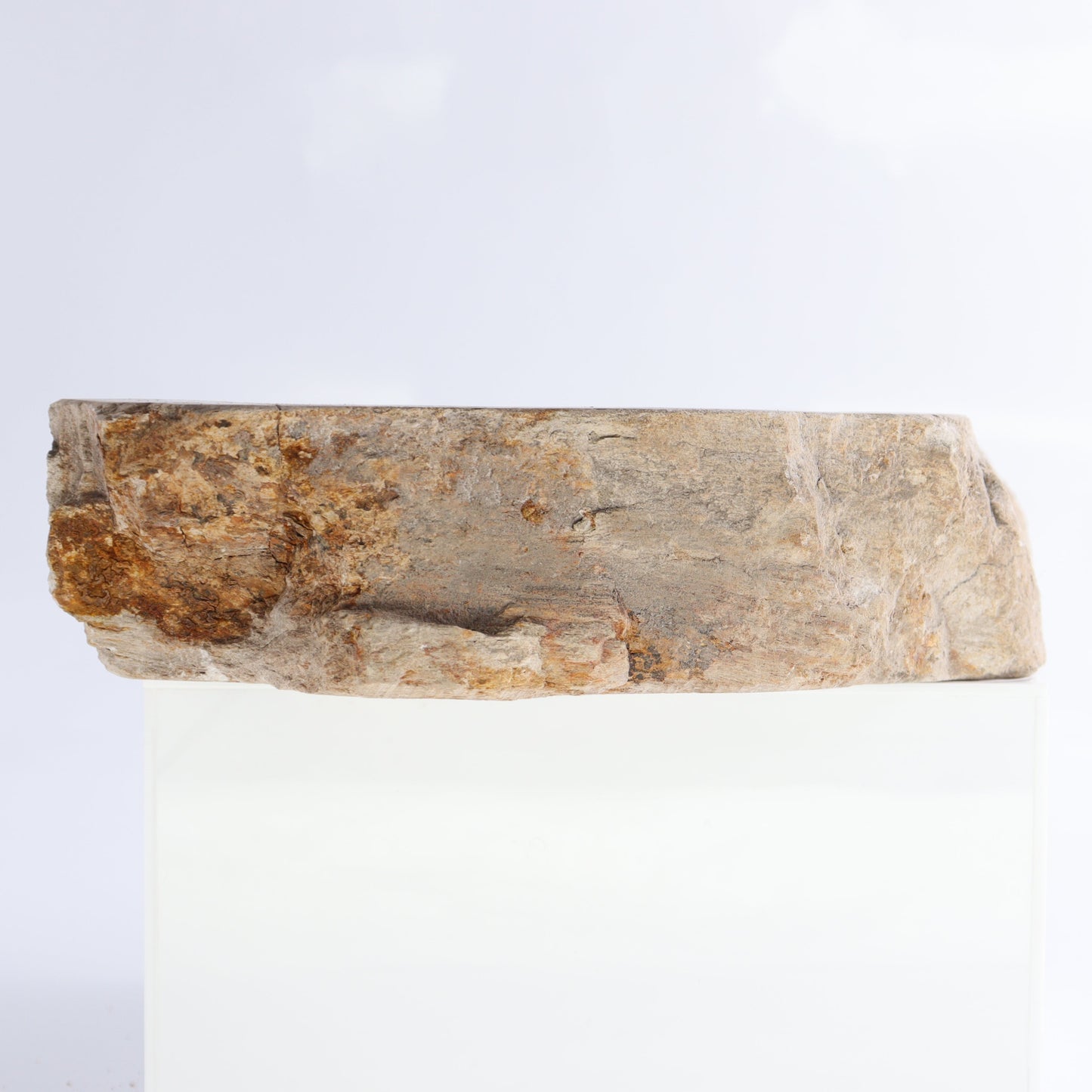 Petrified Wood Bowls Set of 2 - Expert Wholesale and Supplier of Wholesale Crystals & Bulk Gemstones, ["Bowls","Indonesia","Petrified Wood"]