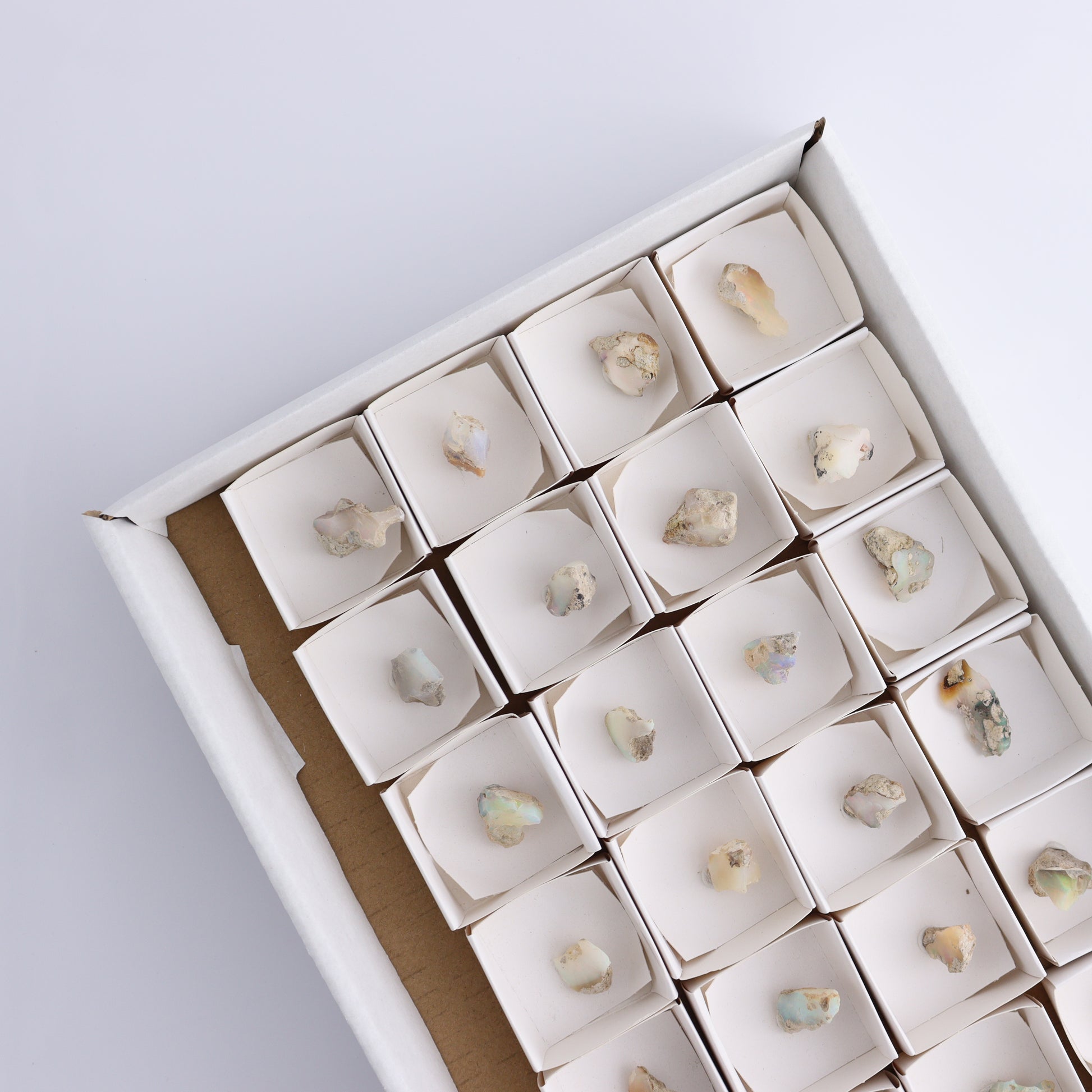 Ethiopian Opal Set of 24 - Expert Wholesale and Supplier of Wholesale Crystals & Bulk Gemstones, ["Ethiopia","ethiopian opal","Opal"]