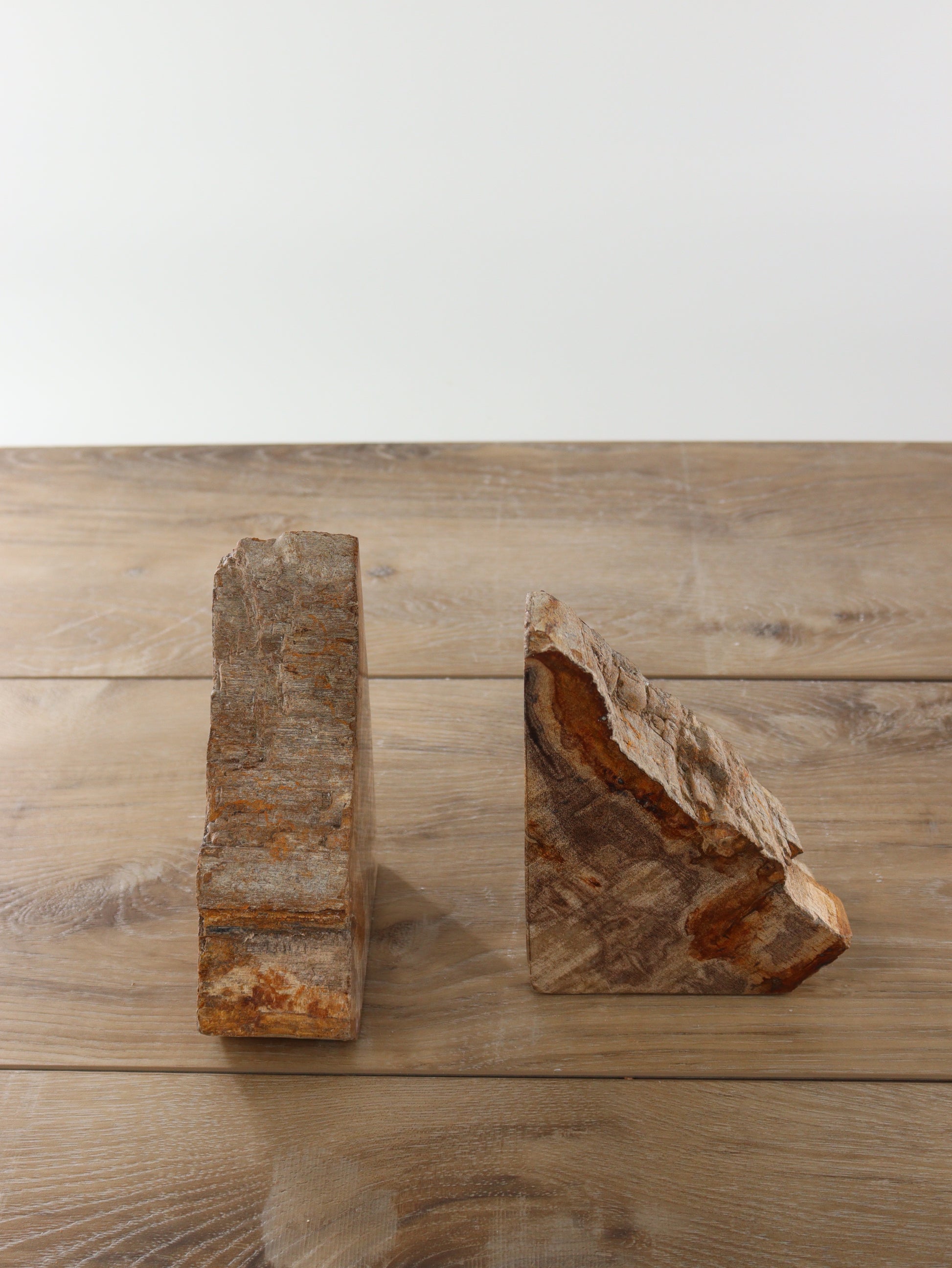 Petrified Wood Bookends - Expert Supplier of Wholesale Crystals & Bulk Gemstones