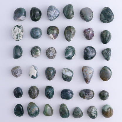Moss Agate Tumbles 1 kg Set